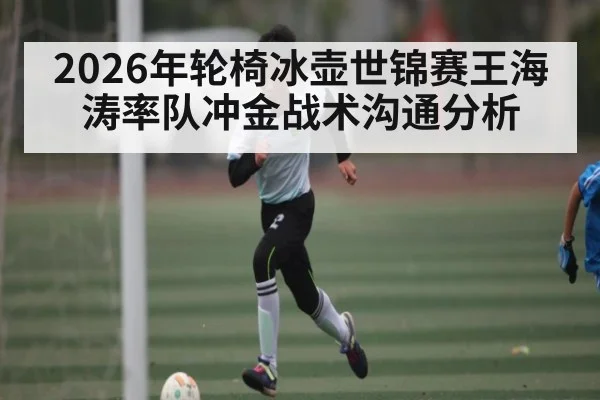 2026年轮椅冰壶世锦赛王海涛率队冲金战术沟通分析